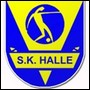 Anderlecht wint oefenmatch tegen Halle