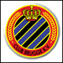 Club Brugge - Anderlecht: 2-2