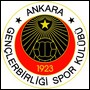 Anderlecht looking for Turkish reinforcements