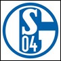 Schalke 04 schaute sich Boussoufa an