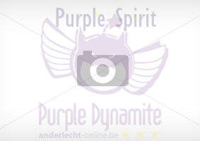 PurpleSpirit & Anderlecht-Online: united as one